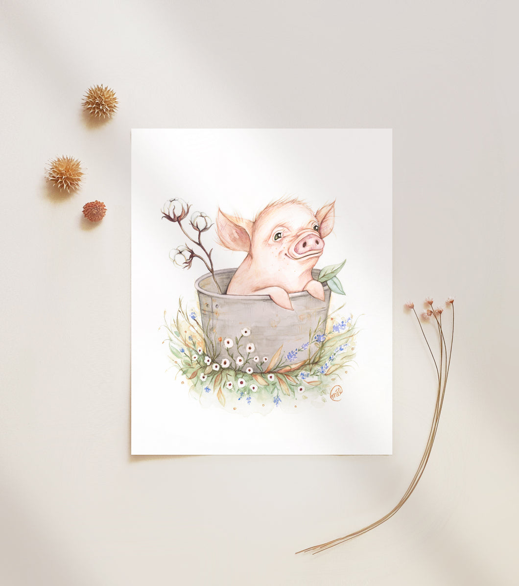 Affiche du cochon et fleur de coton