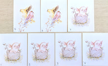 Charger l&#39;image dans la galerie, Affiches imparfaites - oiseaux et cochon
